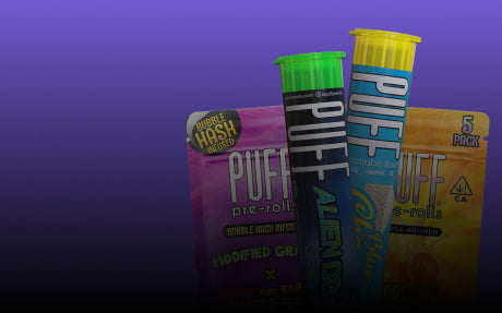 Shop Bubble Hash Infused THCa & Cannabis Pre Rolls | Puff Pre-Rolls