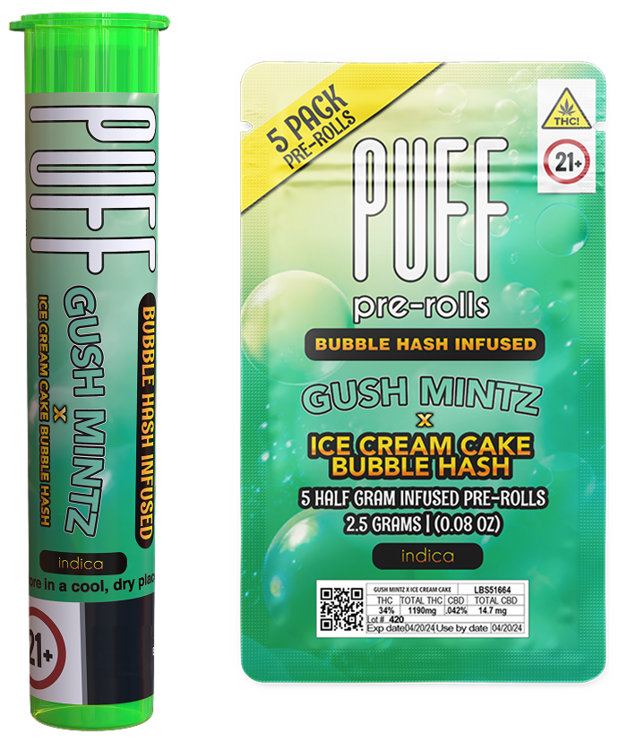 Gush Mintz x Ice Cream Cake