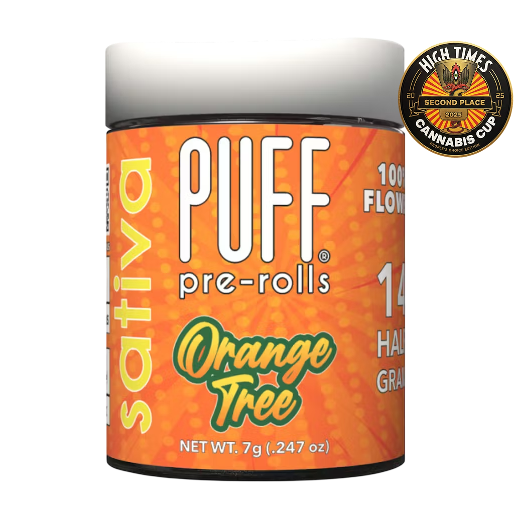 Orange Tree