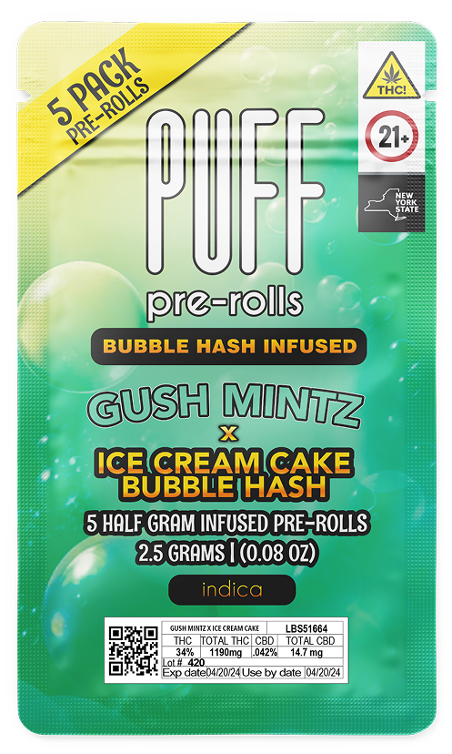 Gush Mintz x Ice Cream Cake