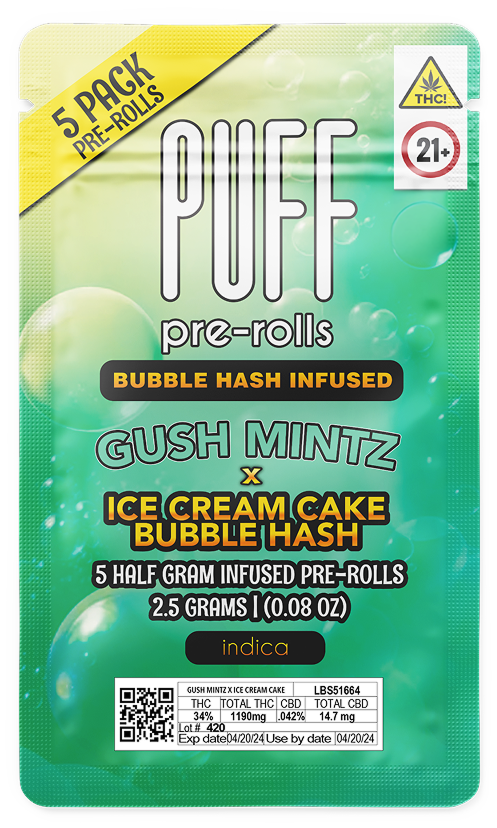 Gush Mintz x Ice Cream Cake